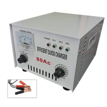 Cargador De Batería 12v 24v 36v 80amp