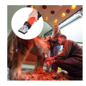 Cortapelo De Caballos Vacas Crines Mascotas
