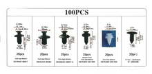 Broche Grampa Tapizado Auto Interior Kit 100 Piezas